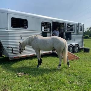 Meet your Posher, Gene